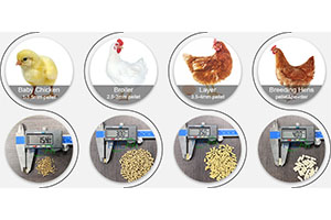 Poultry Feed Pellets For Farming